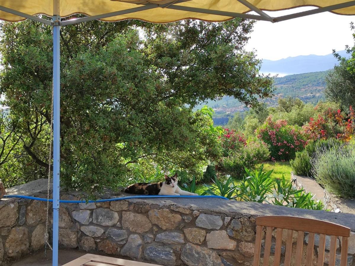 Sto Spiti Bed and Breakfast Pigi  Buitenkant foto